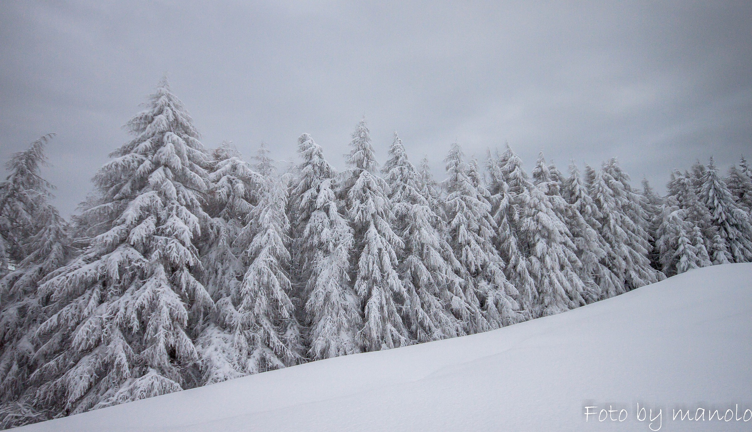 Soldati del generale inverno...