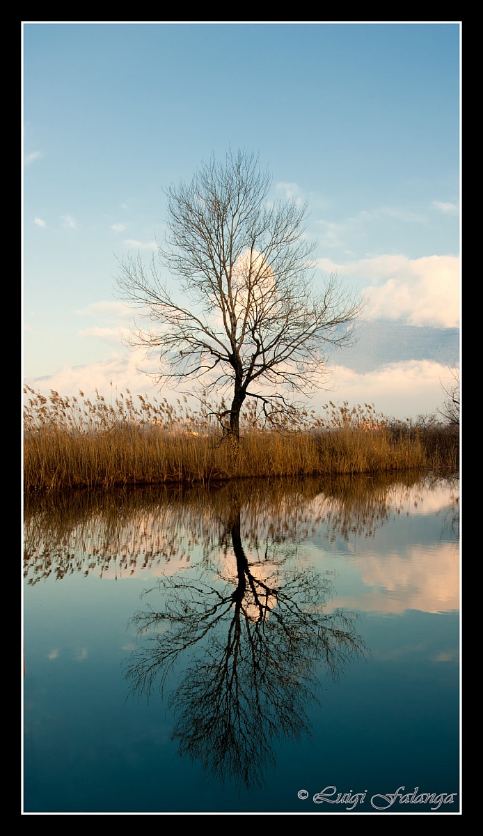 Specchio d'acqua...