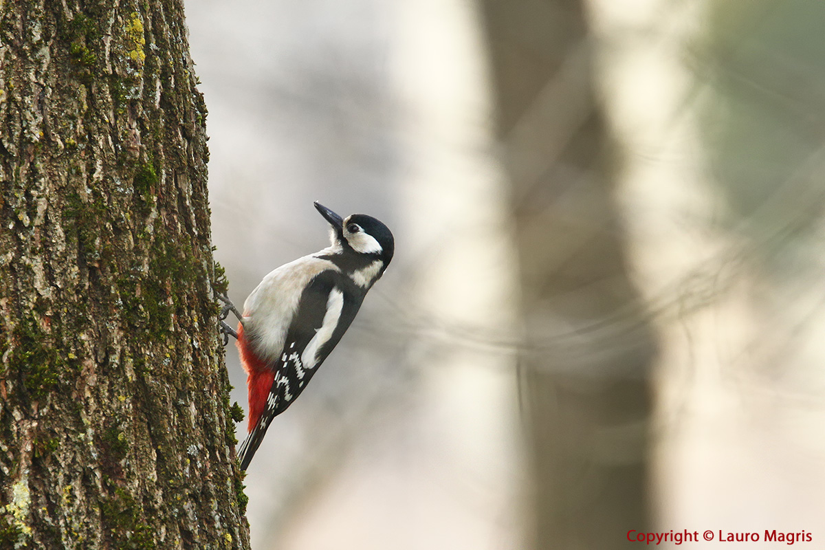 Arrampicata...