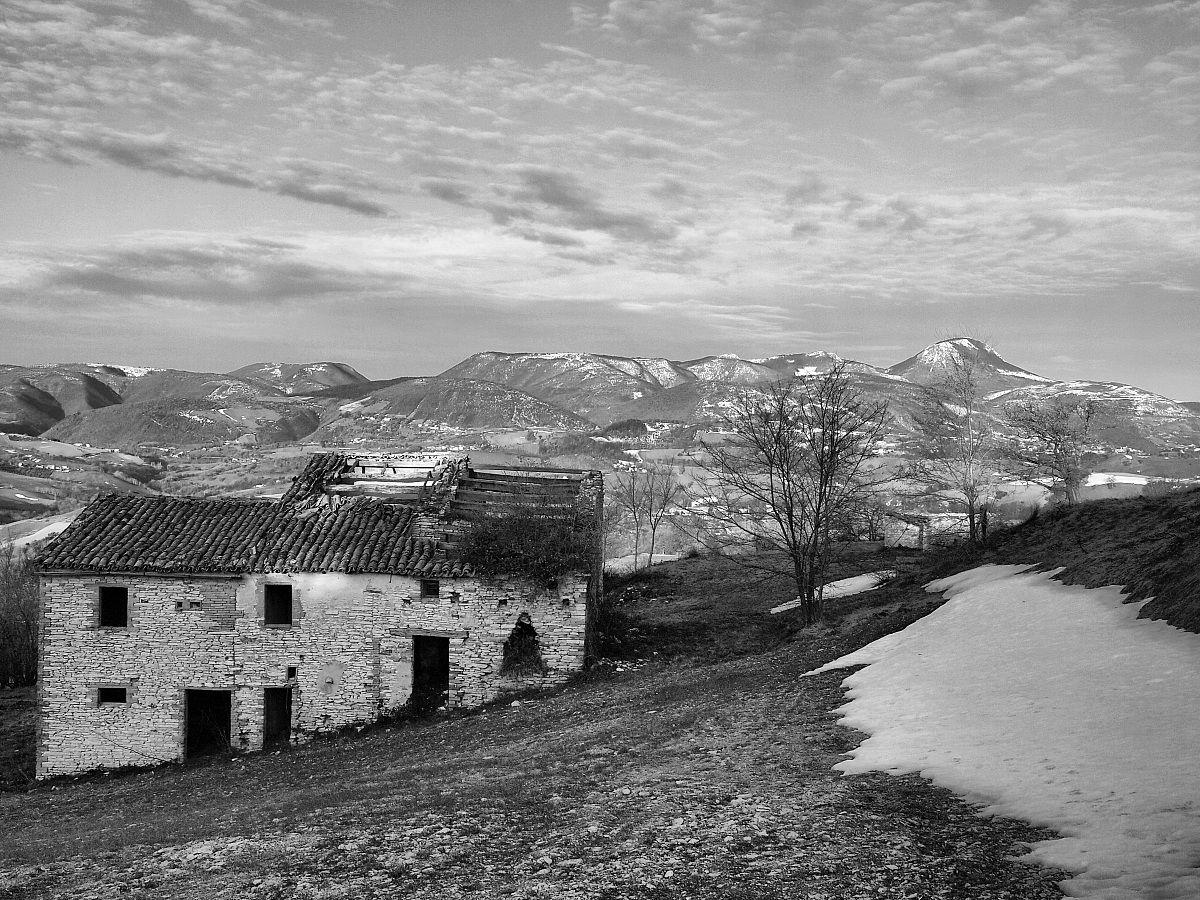 the house...