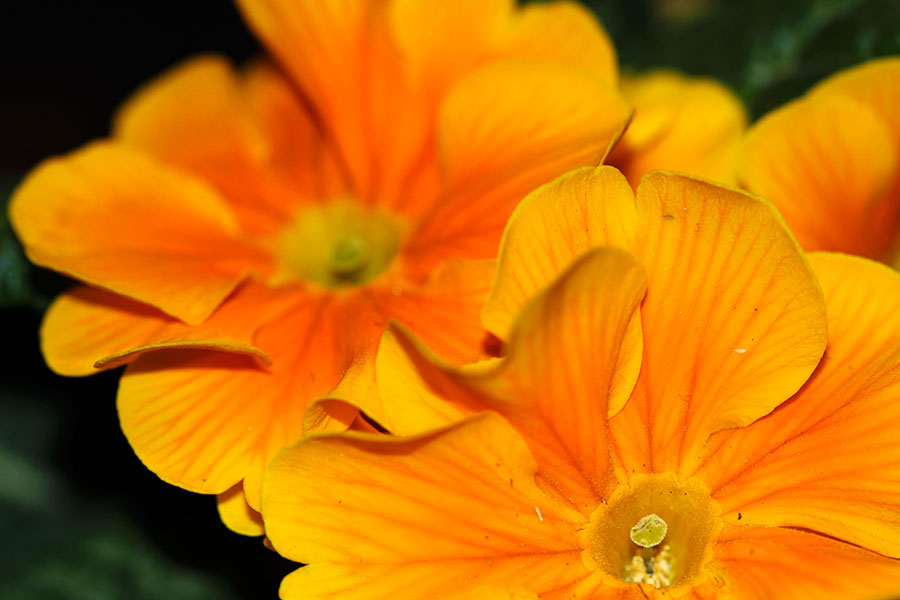 Untitled Photo...