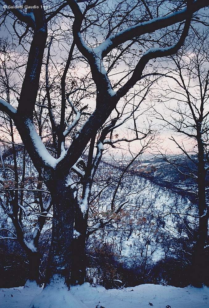 At dusk in the woods - Winter 1991...