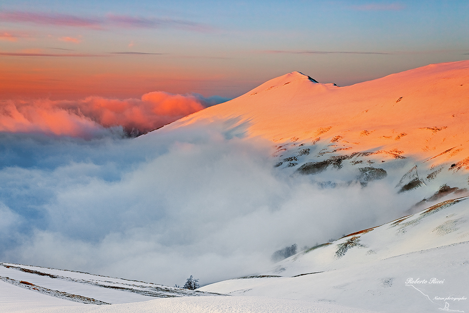 the summit above the fog...