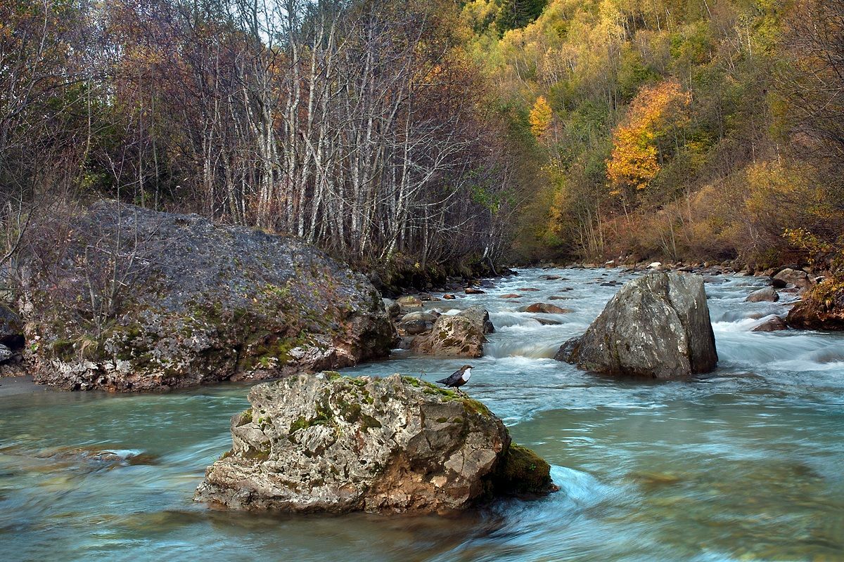 The river aOssasco...