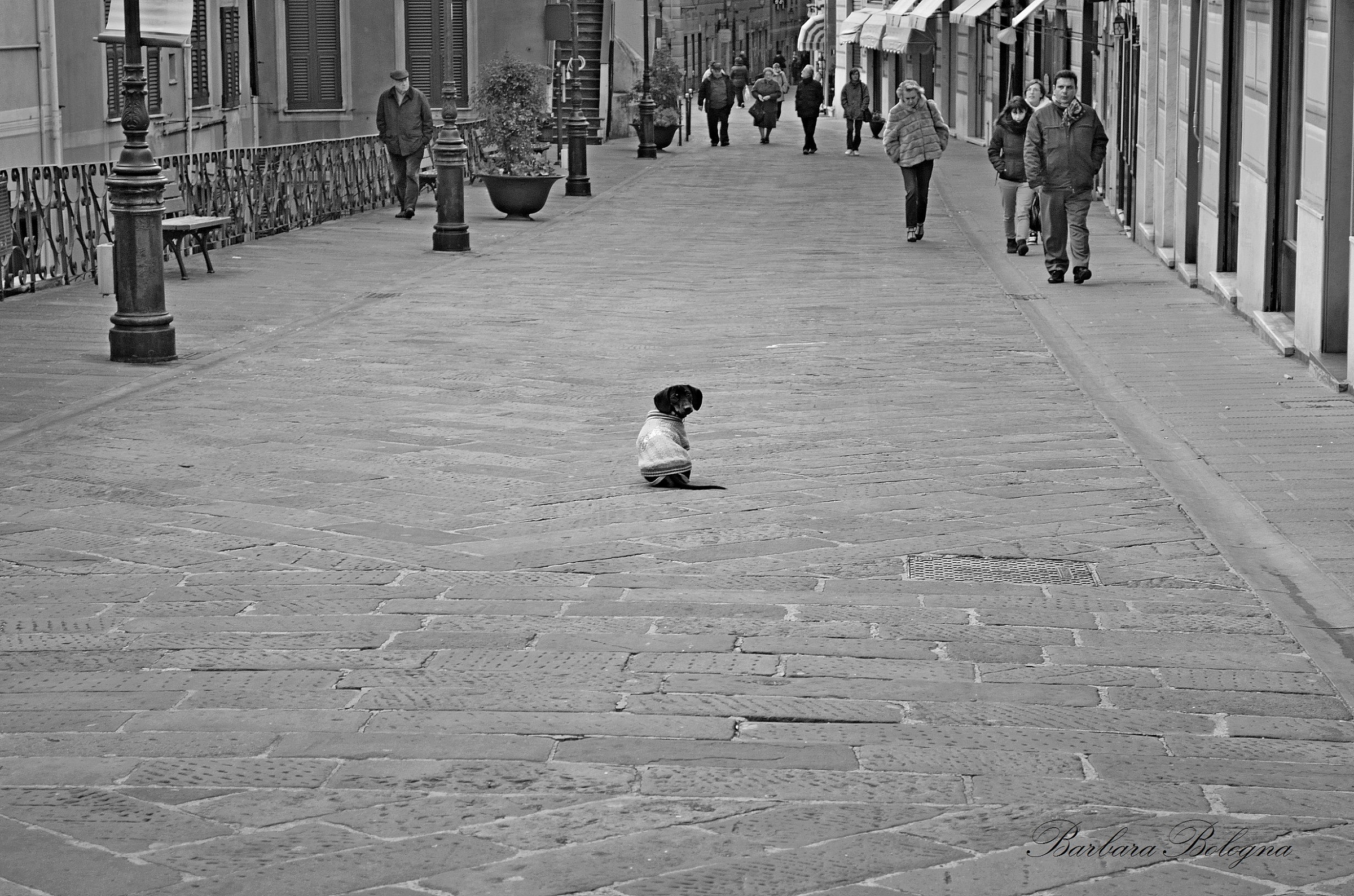 Qui non si passa!...