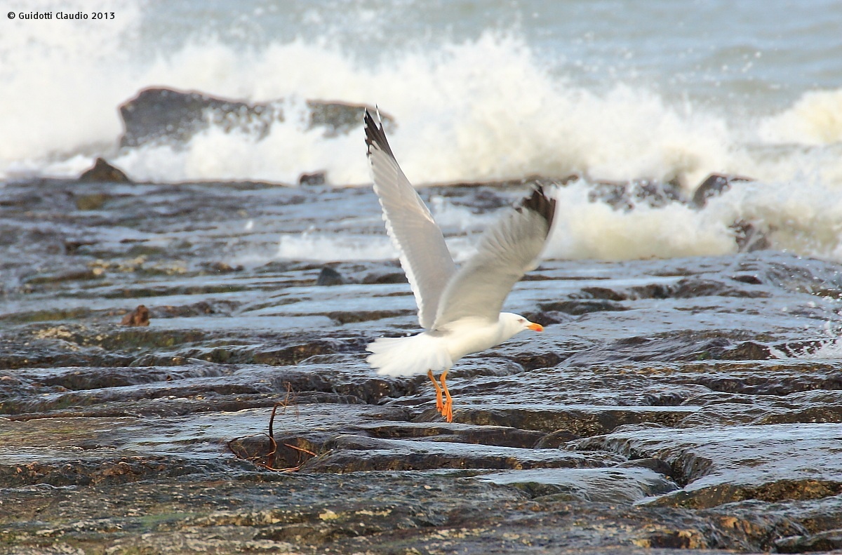 In flight...