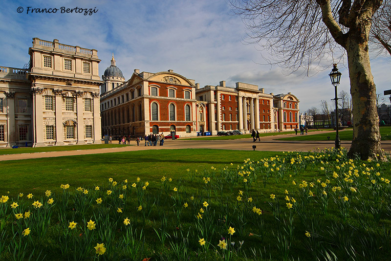 Greenwich lawn and flowers...
