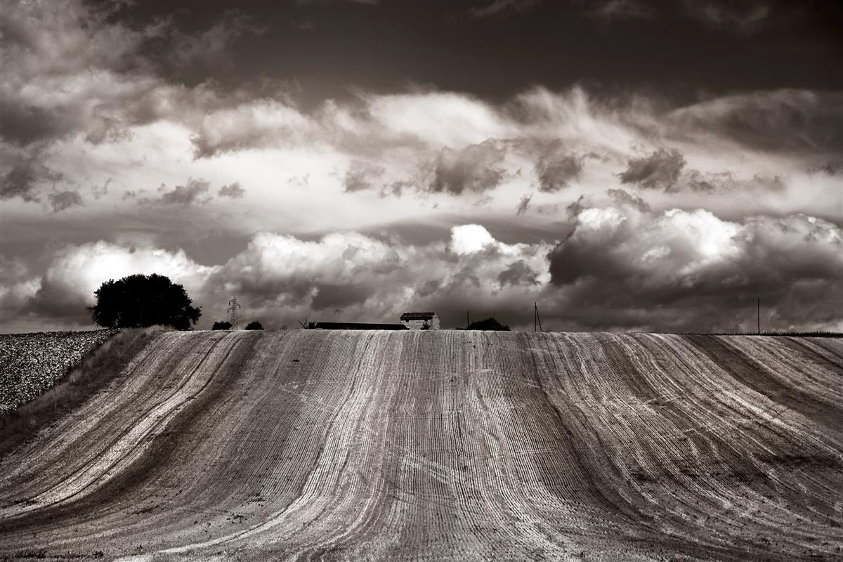 Country...