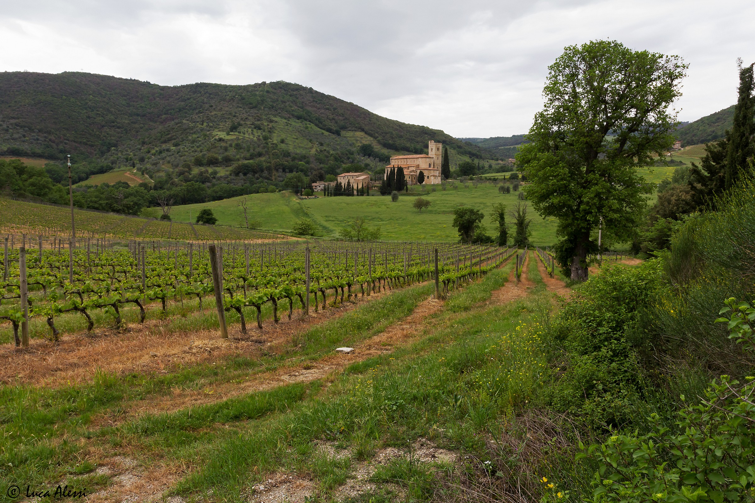 St. Antimo and the surrounding nature...