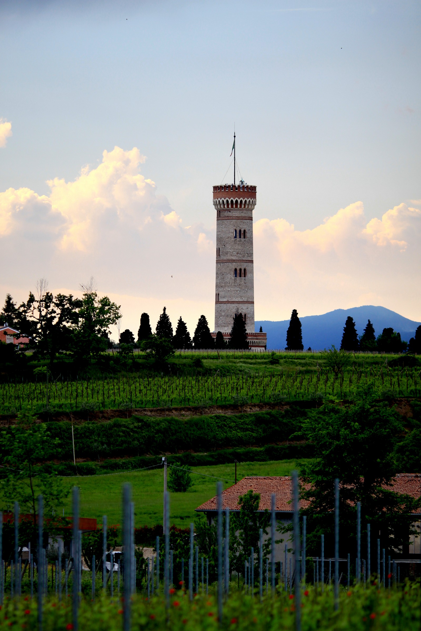 the Tower of San Martino della Battaglia...