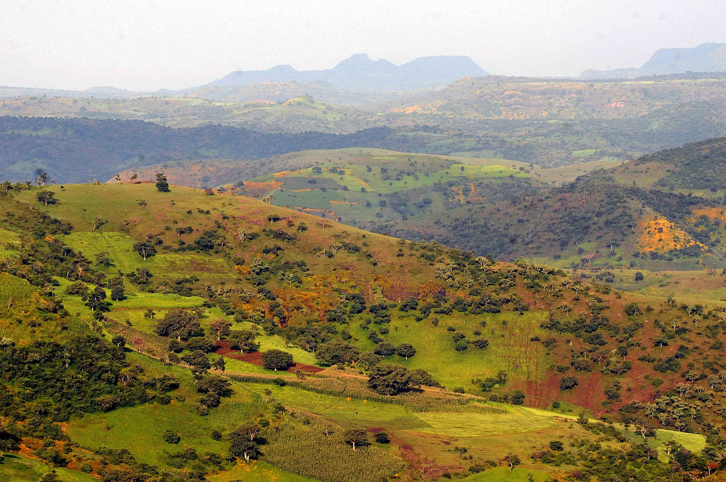 Ethiopia - Landscape...