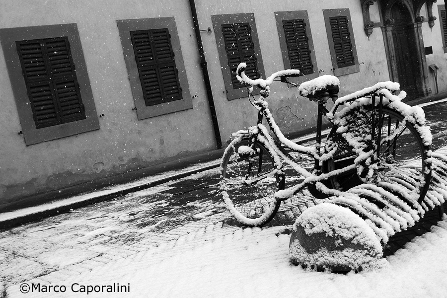 Cycling in the snow...
