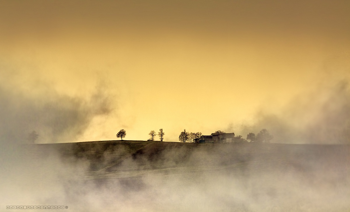 nebbia.....