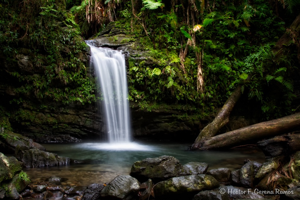 Juan Diego's Little Waterfall...