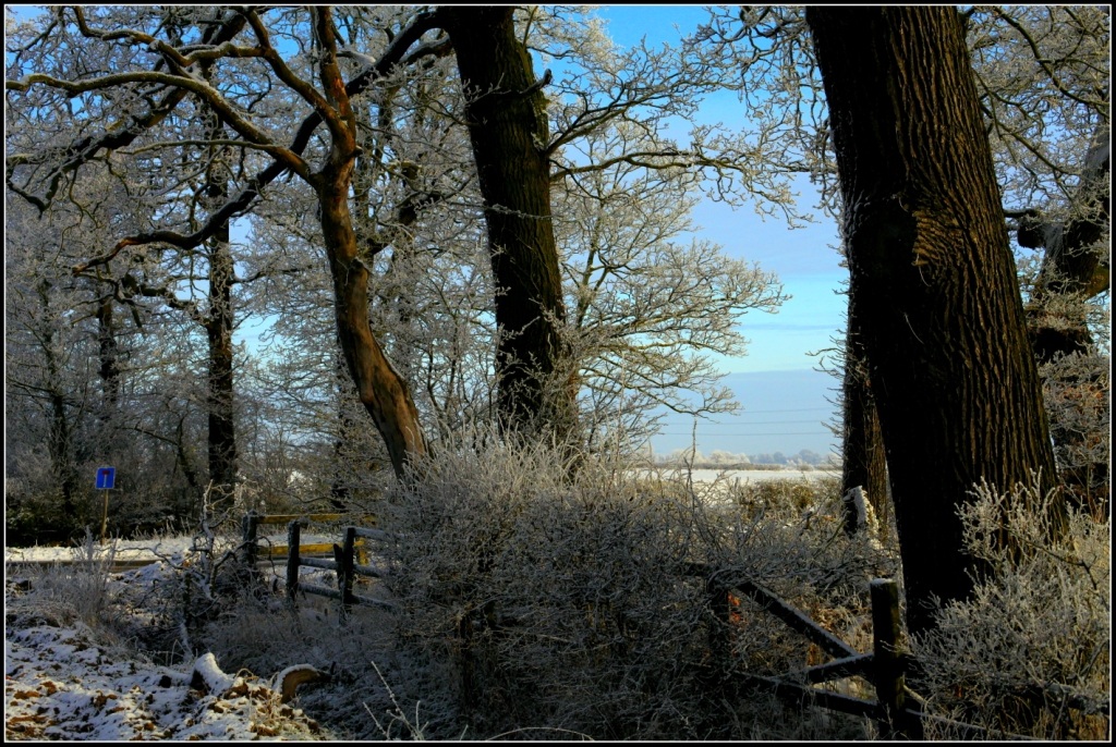 ... and More Snow!...