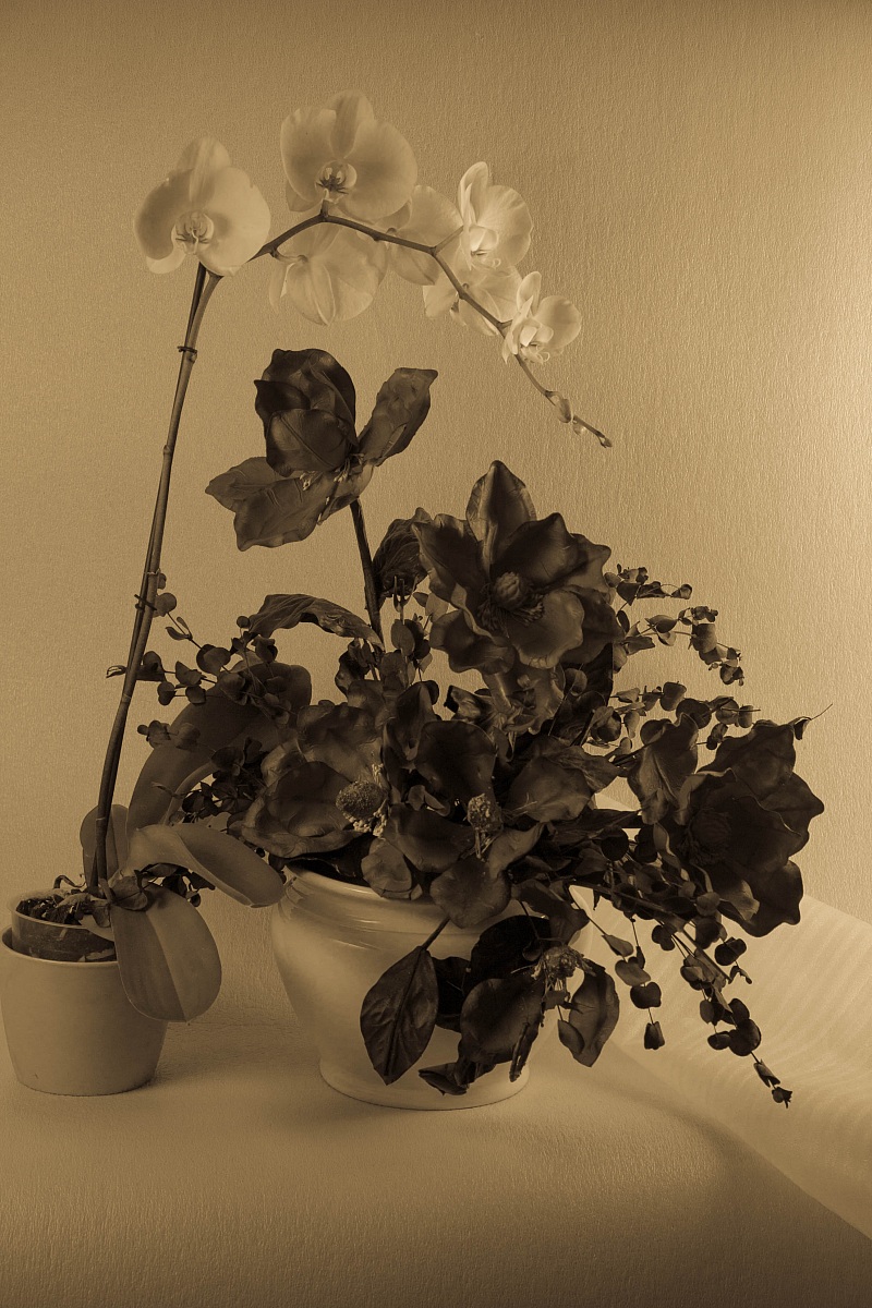 Untitled Photo...