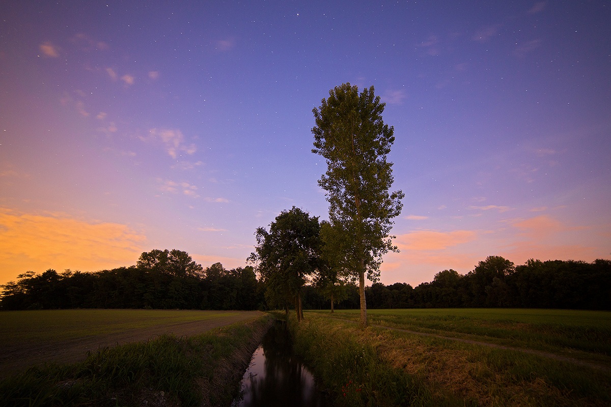 Waiting for the fireflies ......