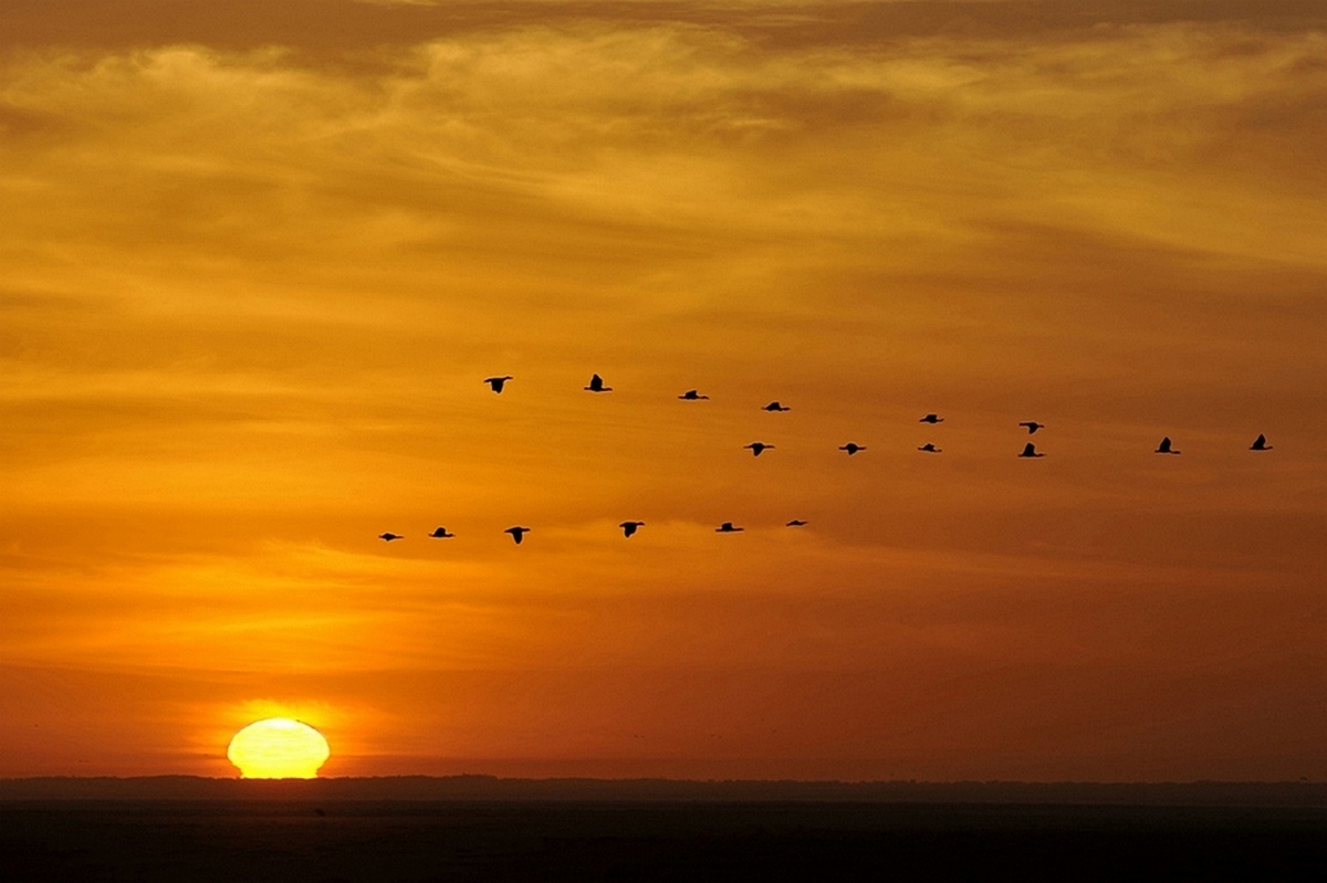 Amboseli sunrise...