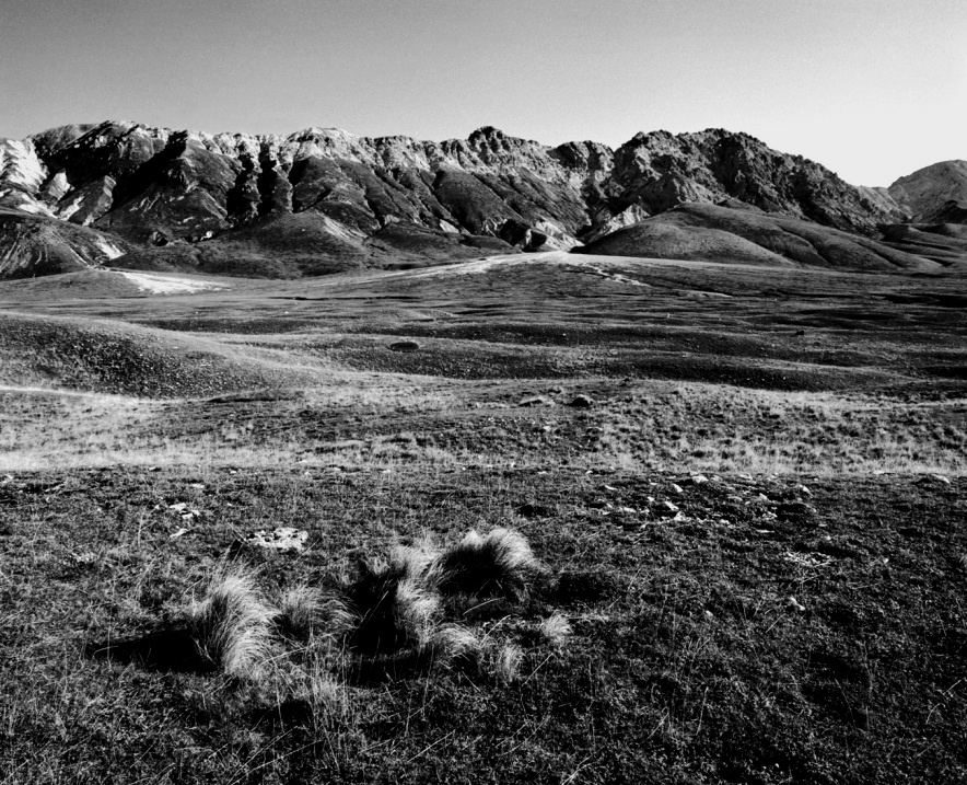 Untitled Photo...