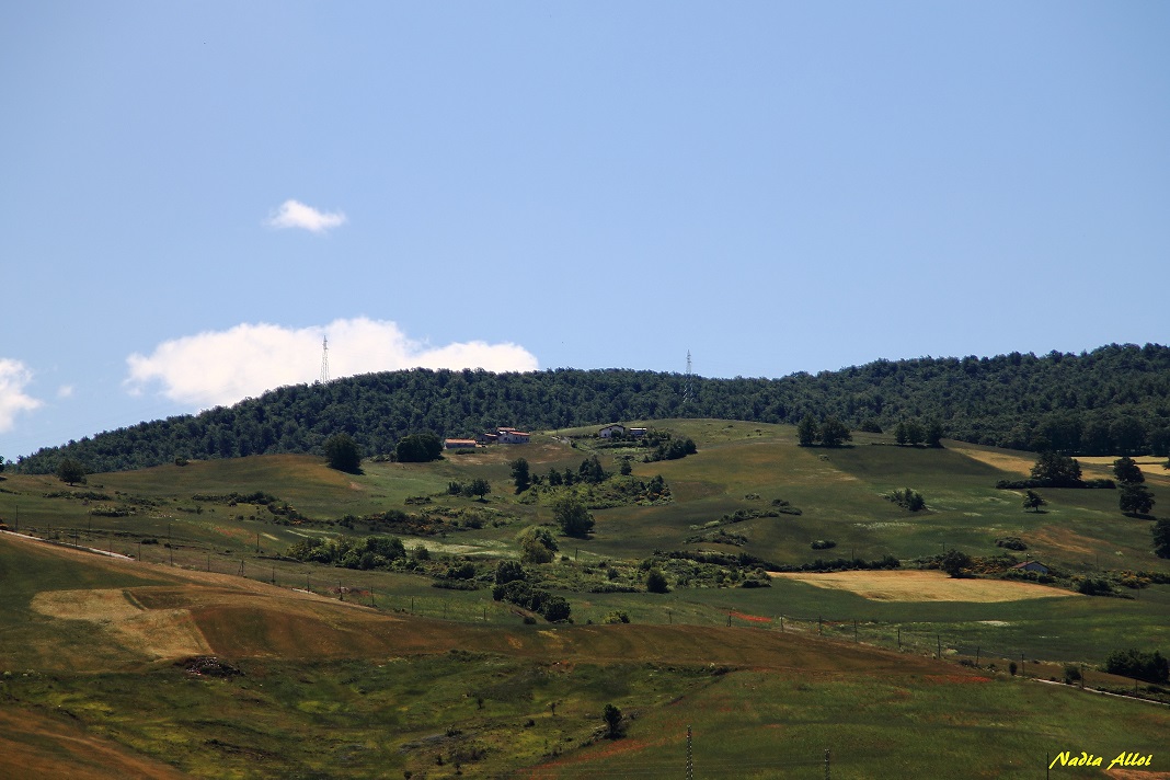 Lucania...