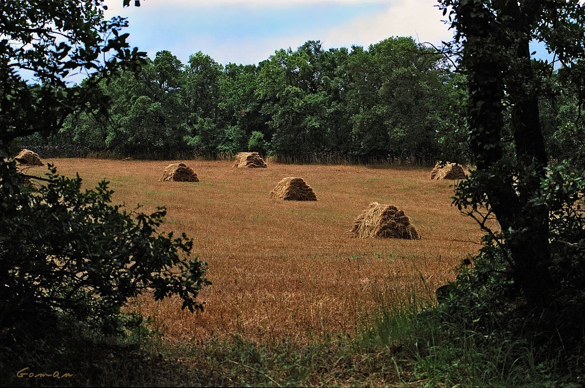 Bosco Selva - Alberobello 1989...