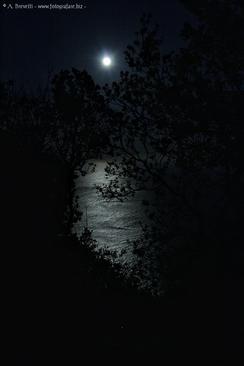 Notte di luna piena al Circeo...