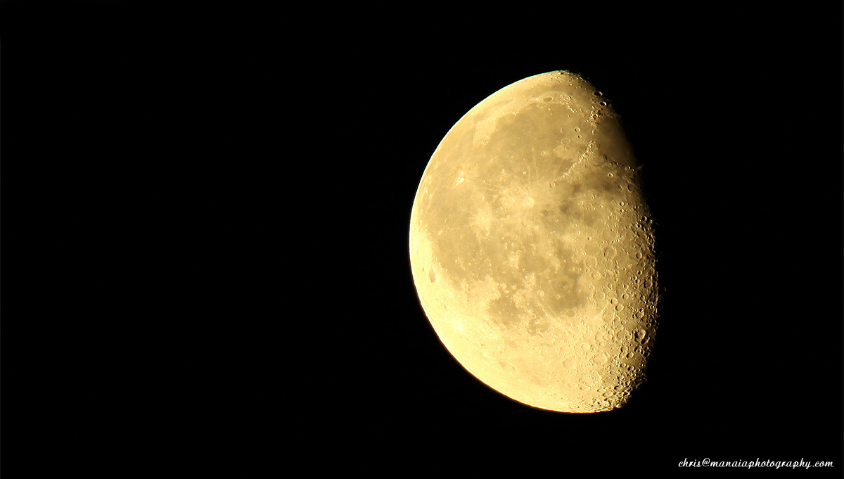 Lunar 2010...
