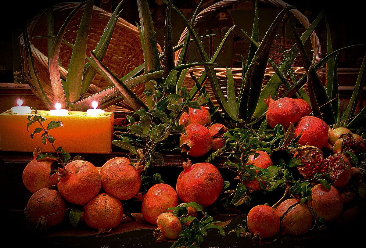 Aloe and pomegranates....