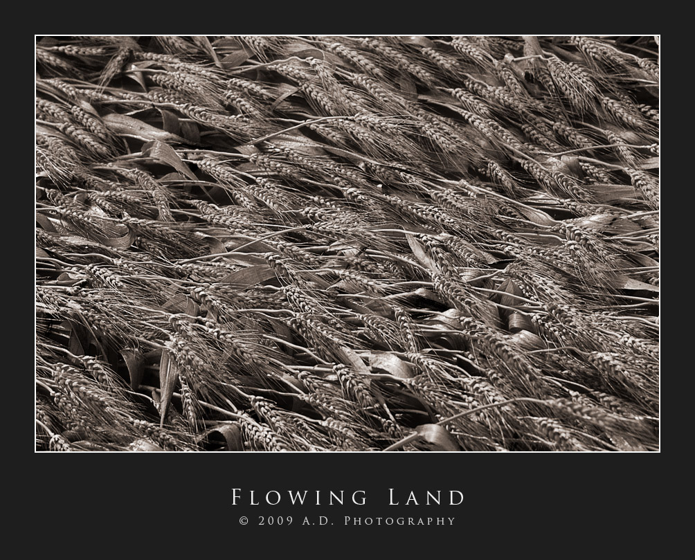 Flowing Land...
