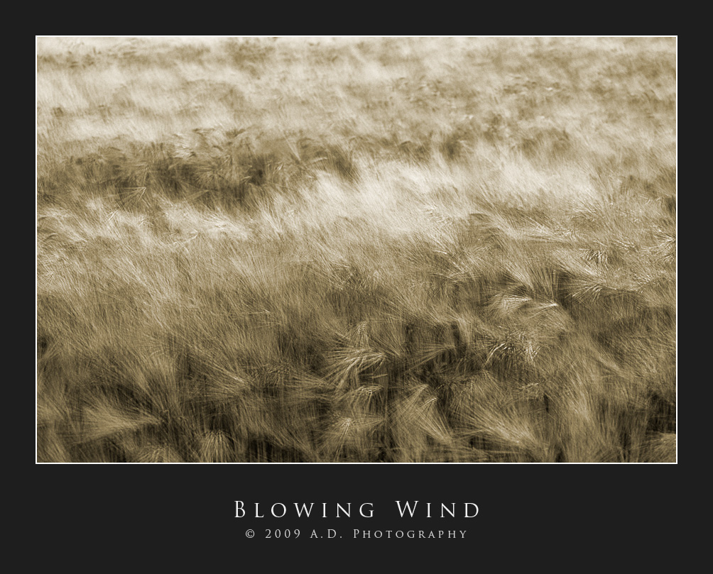 Blowing Wind...