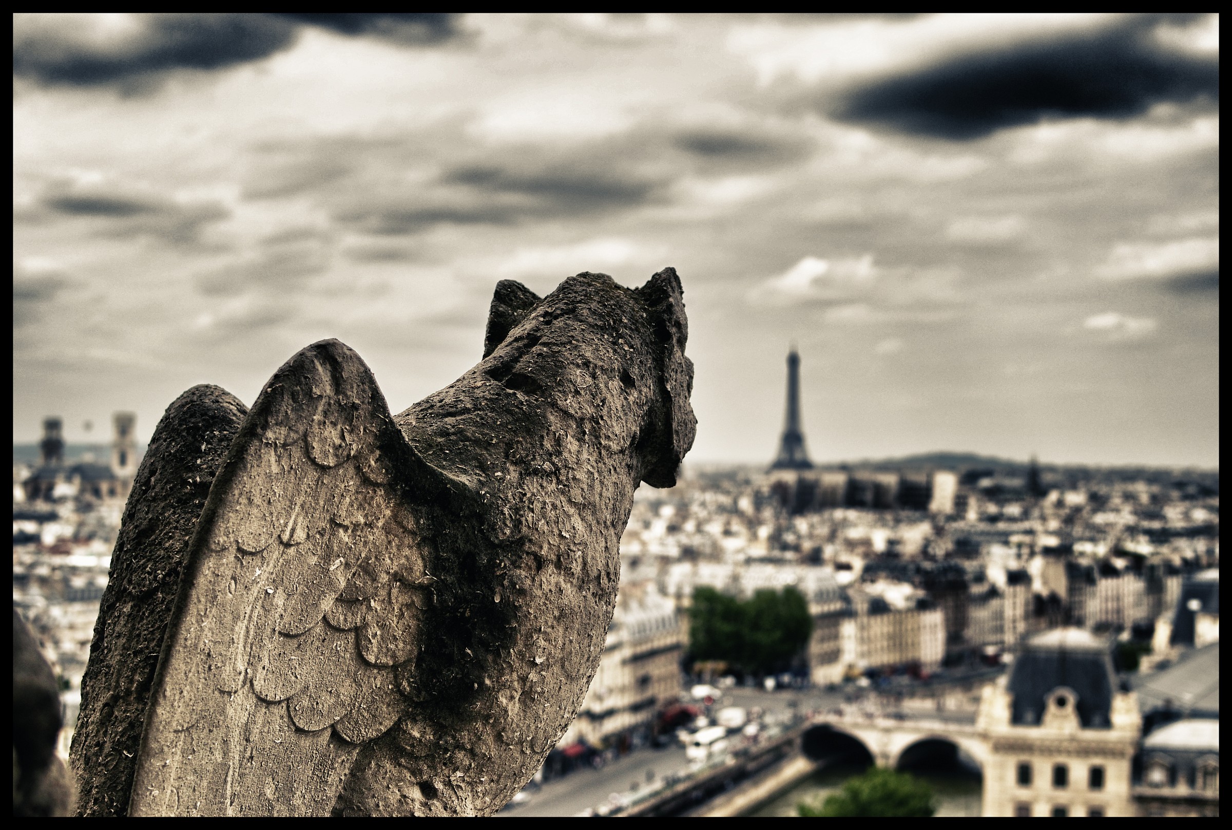 Gargoyle on Notre Dame - Paris...