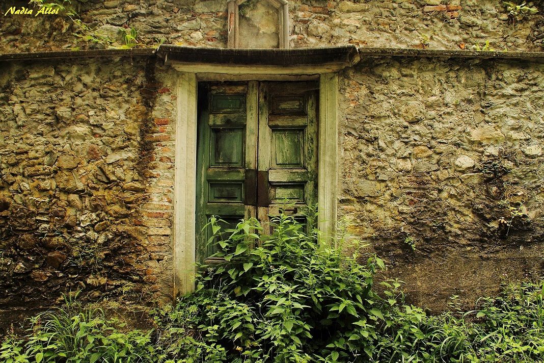 Door in the Woods...