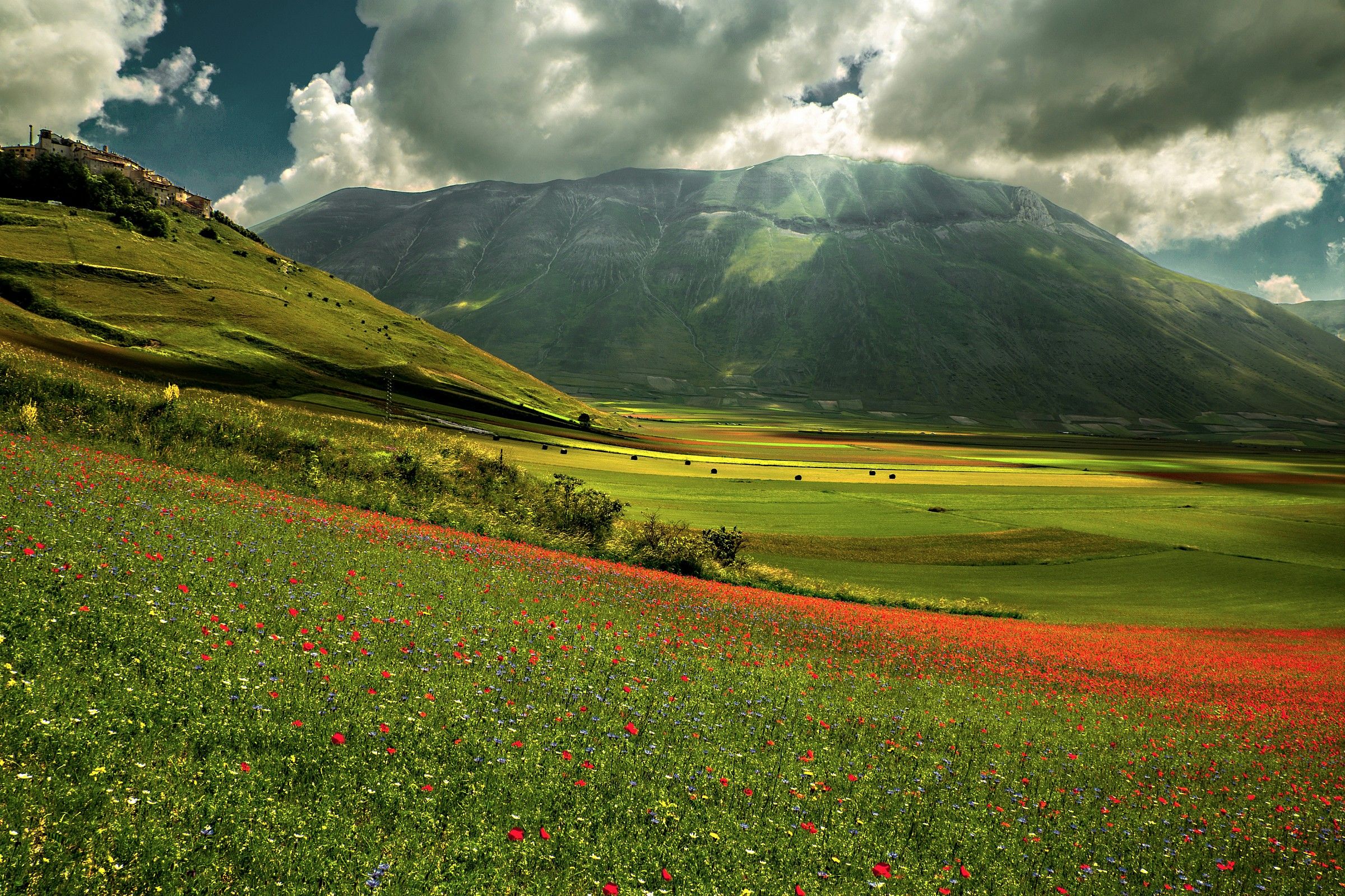 Castelluccio and its flowers 2...