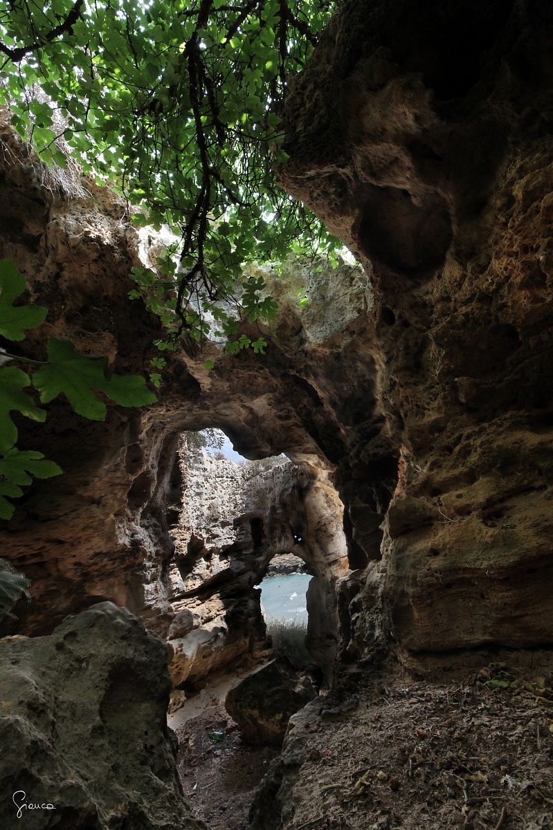 Grotta di Cala Mosche...