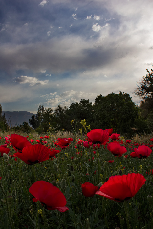 Untitled Photo...