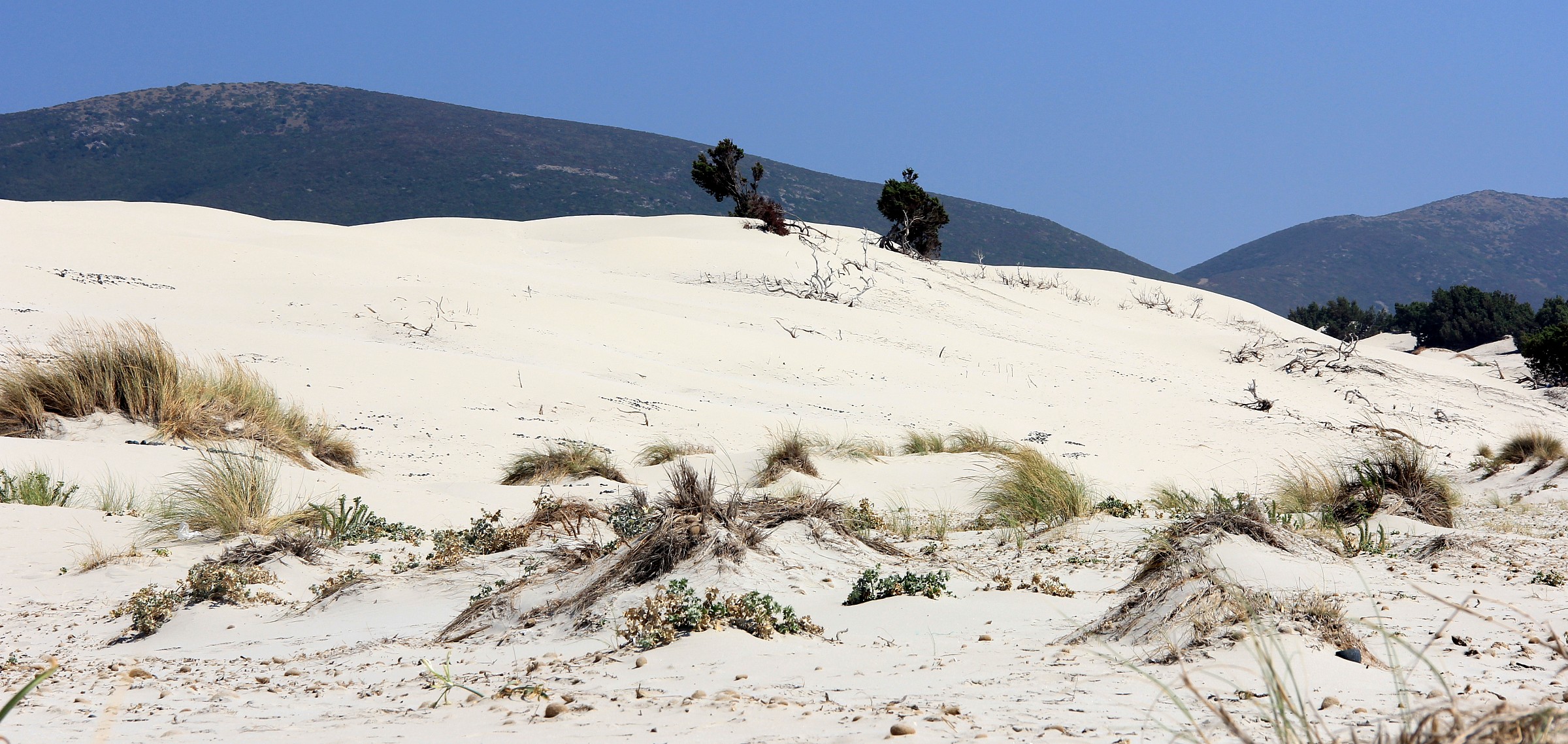 Le dune bianche di Teulada...