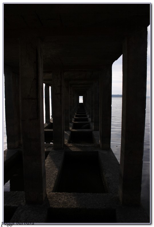 Untitled Photo...