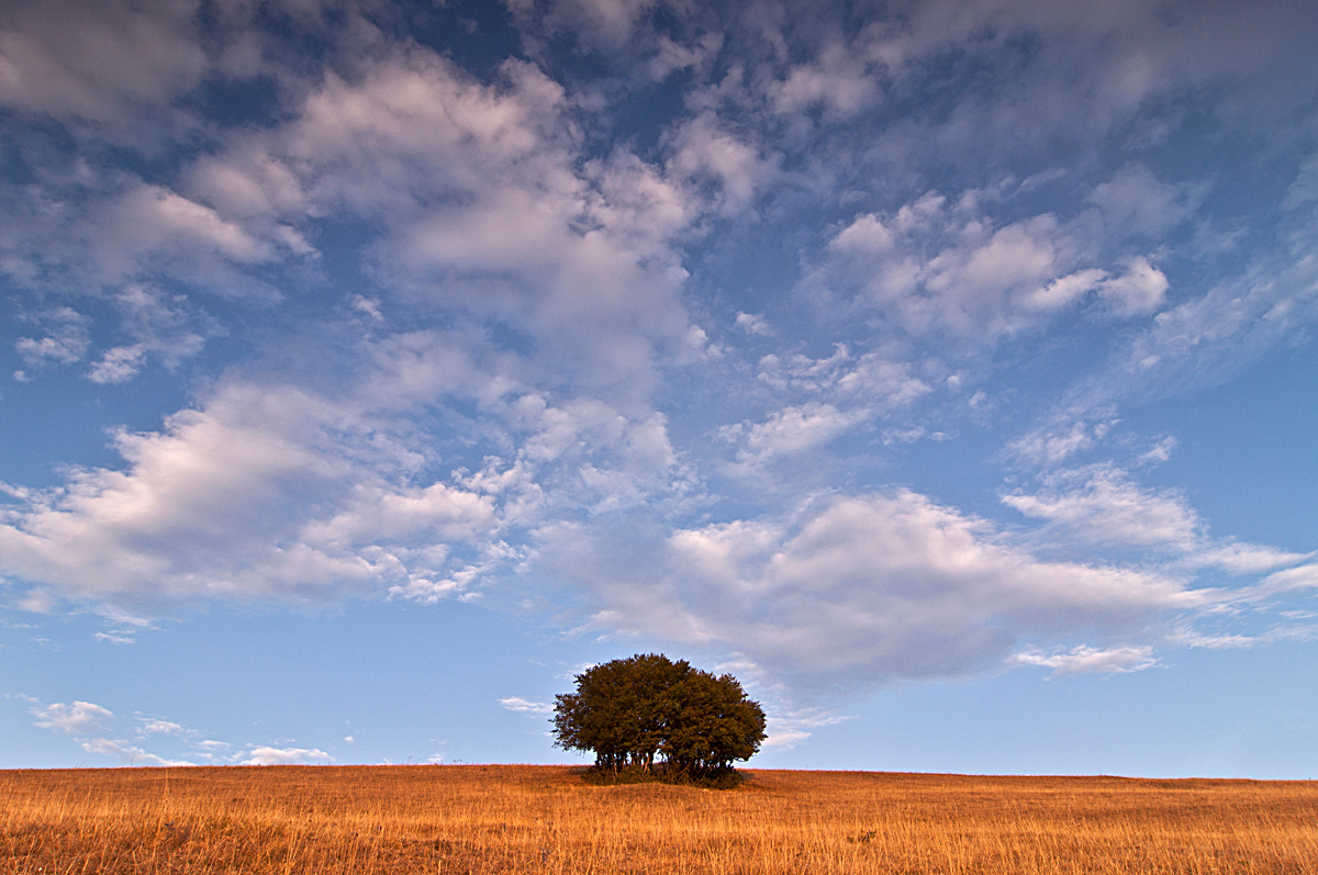 Untitled Photo...