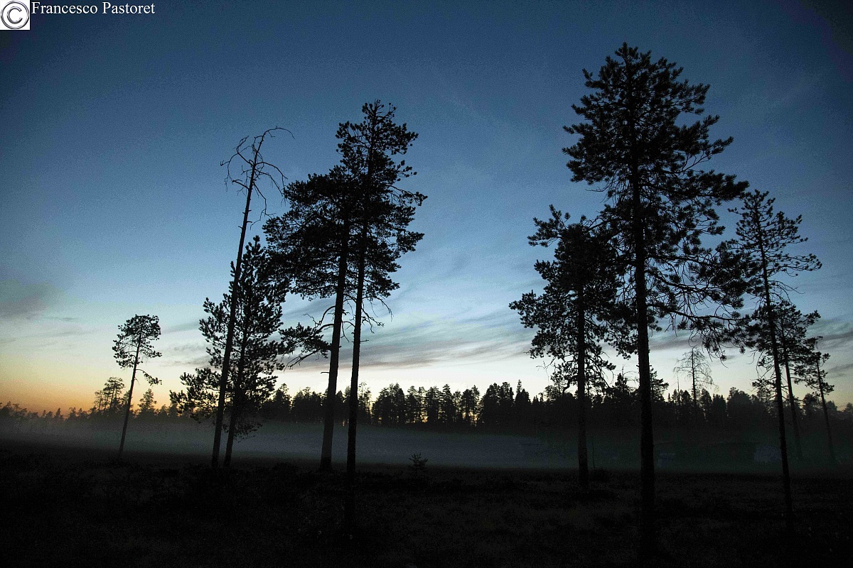 Le ombre della Finlandia...