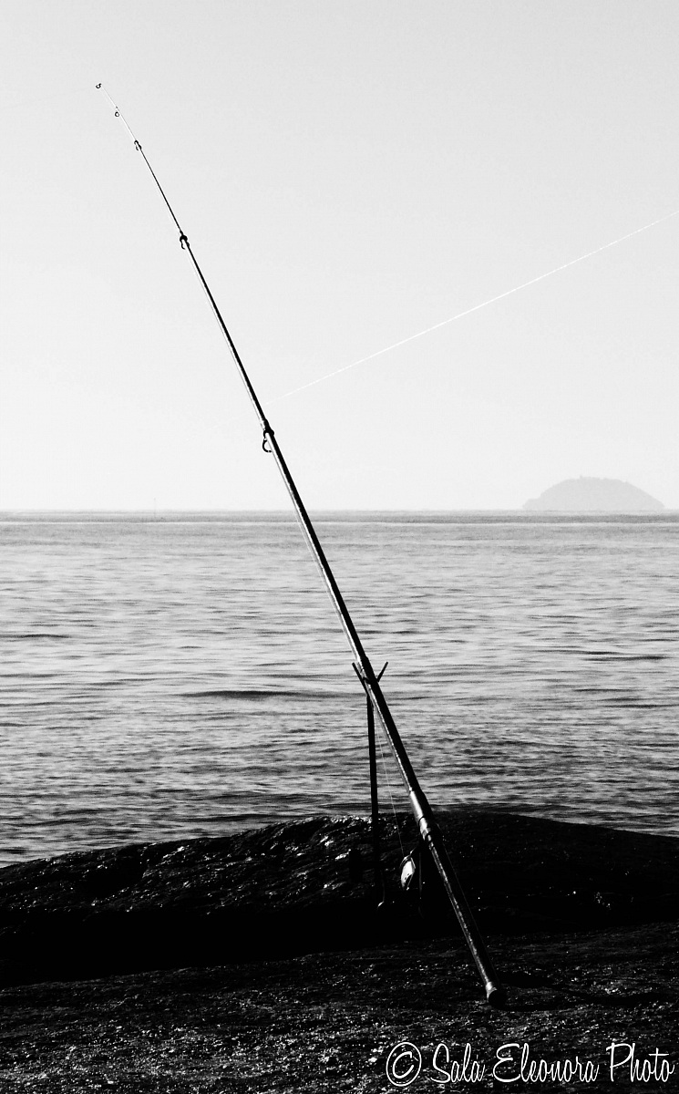 Si pesca.....