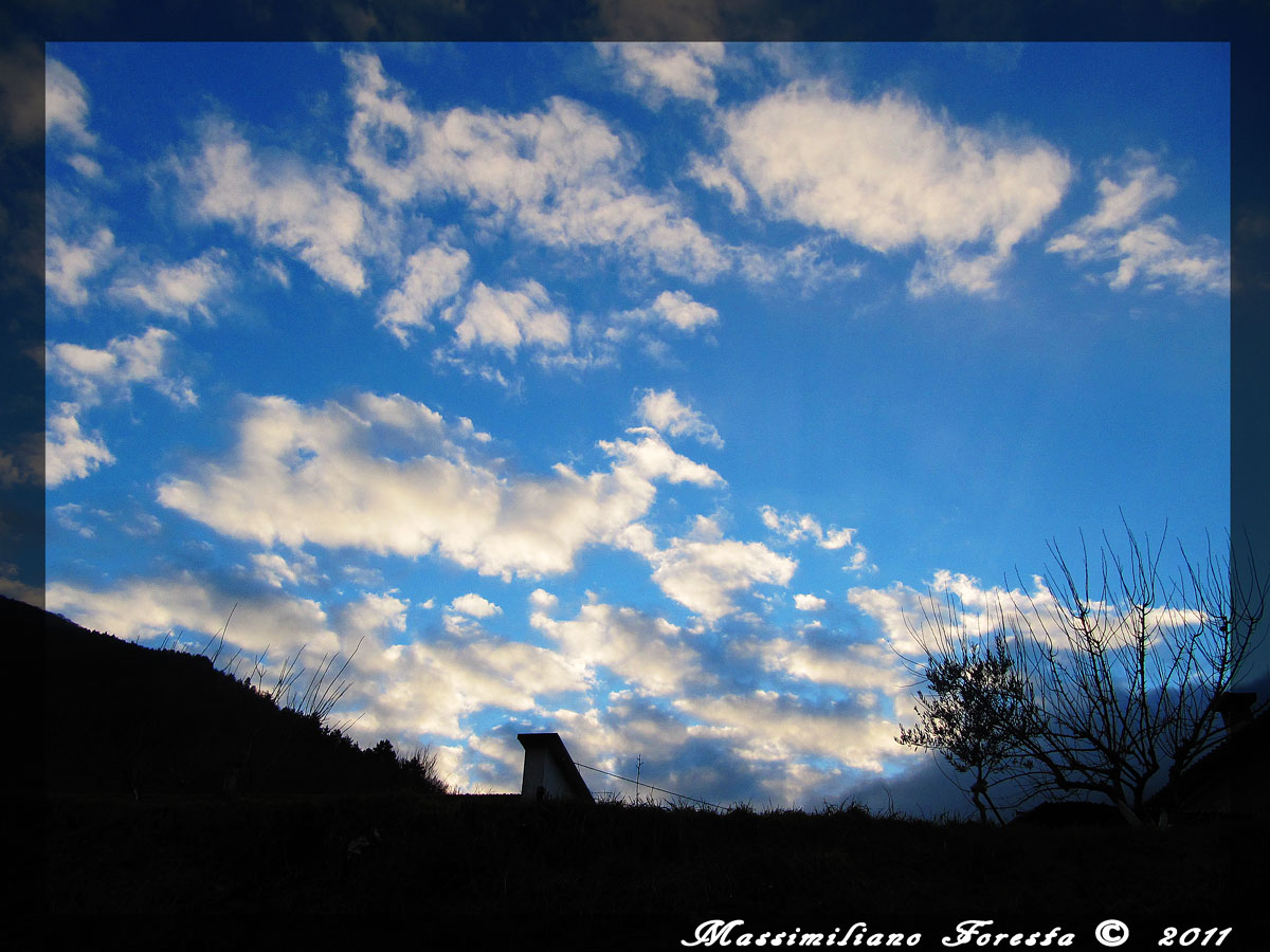 Untitled Photo...