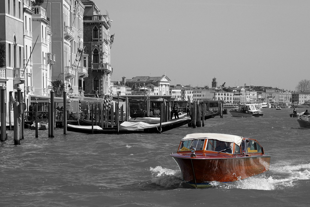 darting in the channel...