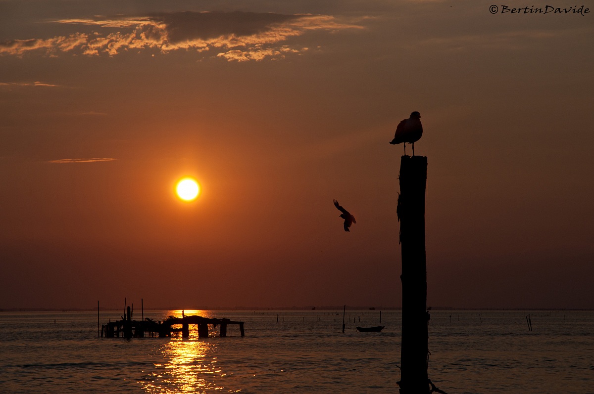 Tramonto a Venezia-Pellestrina...
