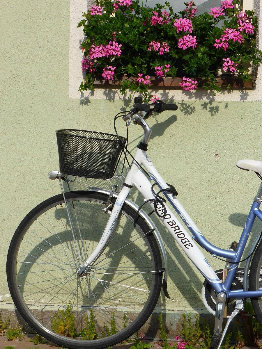 fiori con bicicletta...