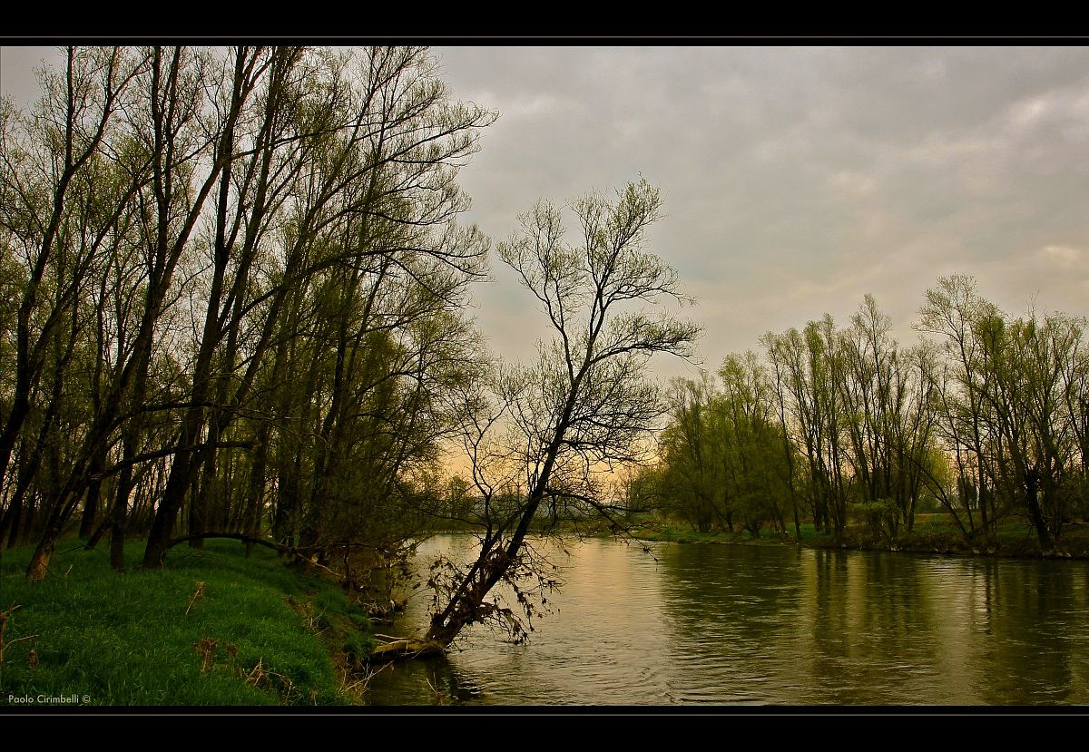 Il fiume Oglio nella bassa bresciana....