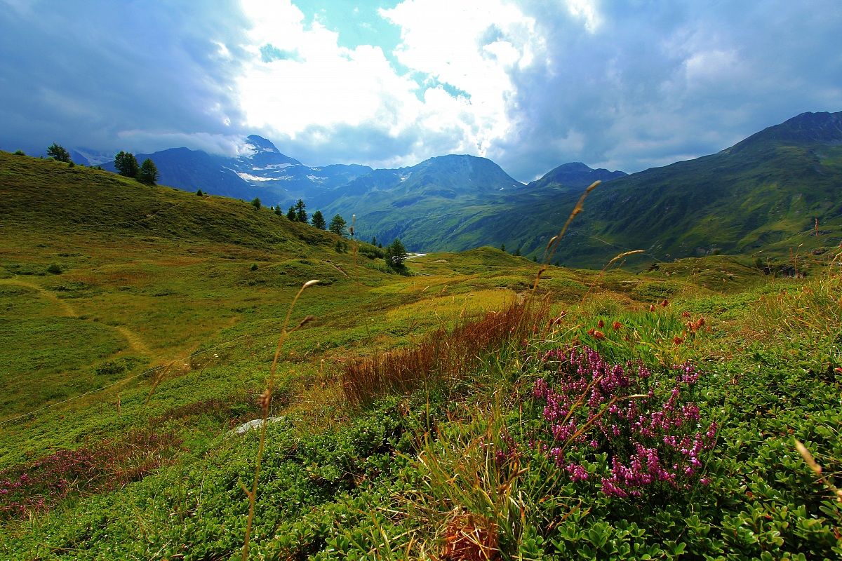 Simplon Pass 18.08.2013...