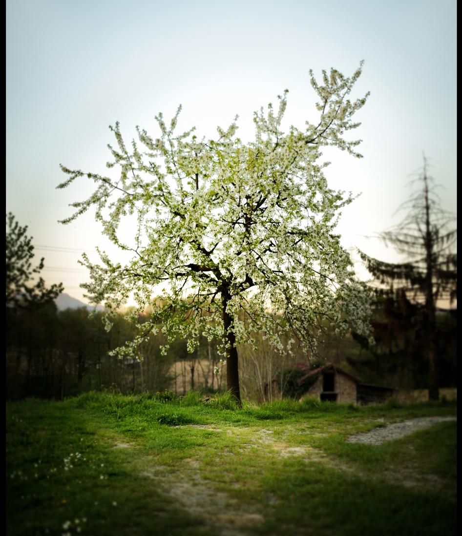 springtime...