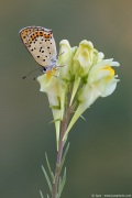 [Photo]