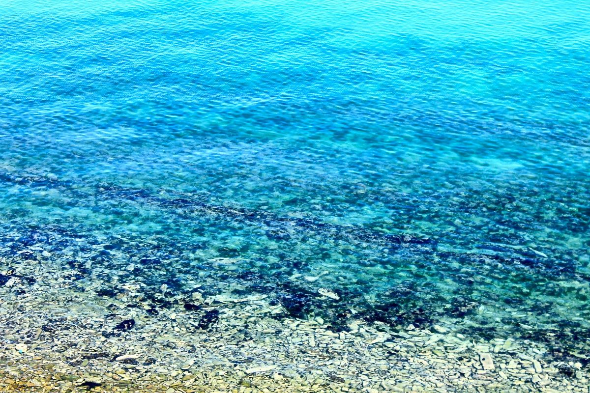 Le Rive, Fiorenzuola...