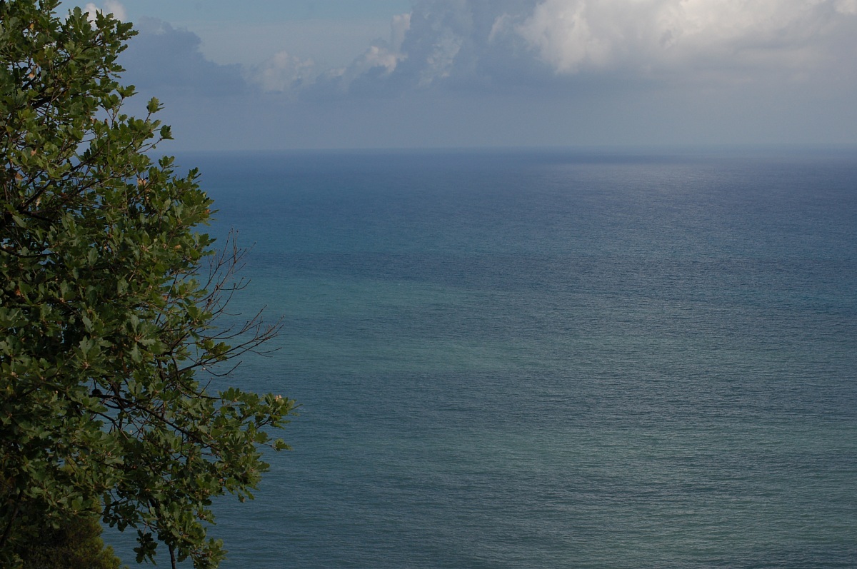 Mediterranean...